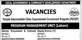 Local Government & Community Development Department Jobs 2021 In Lahore