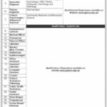 Medical Teaching Institution MTI Swabi Medical & Faculty Staff Jobs 2021