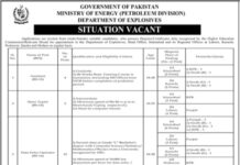 Ministry of Energy Management Jobs 2021