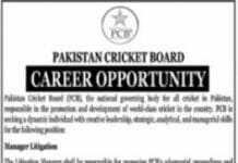 Pakistan Cricket Board PCB Jobs 2021