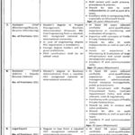 Public Private Partnership PPP Cell Planning & Development Board Jobs 2021