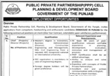 Public Private Partnership PPP Cell Planning & Development Board Jobs 2021