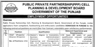 Public Private Partnership PPP Cell Planning & Development Board Jobs 2021