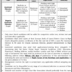 Public Sector Organization Jobs 2021 For Management Staff