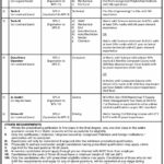 Public Sector Organization Jobs 2021 In Dera Ghazi DG Khan