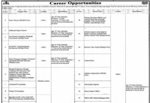 Punjab Information Technology Board Jobs 2021 For Management Staff