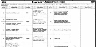 Punjab Information Technology Board Jobs 2021 For Management Staff