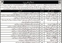 Sandeman Provincial Hospital Jobs 2021 In Quetta Balochistan