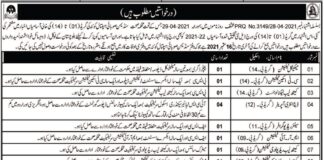 Sandeman Provincial Hospital Jobs 2021 In Quetta Balochistan