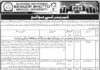 Shaheed Mohtarma Benazir Bhutto Medical University Management Jobs 2021