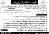 Tehsil Headquarter Hospital Job 2021 For Data Entry Operator DEO