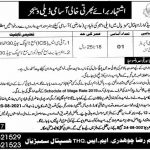 Tehsil Headquarter Hospital Job 2021 For Data Entry Operator DEO