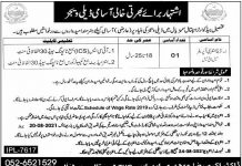 Tehsil Headquarter Hospital Job 2021 For Data Entry Operator DEO