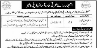 Tehsil Headquarter Hospital Job 2021 For Data Entry Operator DEO