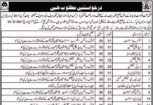 Health Department Jobs 2021 In Killa Saif Ullah