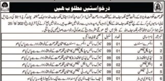 Health Department Jobs 2021 In Killa Saif Ullah