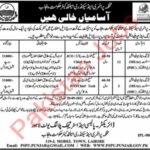 Primary & Secondary Healthcare Department Jobs 2021