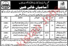 Primary & Secondary Healthcare Department Jobs 2021
