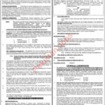 University of Agriculture Faculty Jobs 2021 In Faisalabad