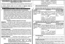 University of Agriculture Faculty Jobs 2021 In Faisalabad