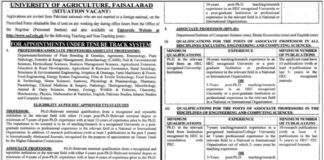 University of Agriculture Faculty Jobs 2021 In Faisalabad