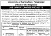University of Agriculture Faisalabad Jobs 2021 For Management Staff