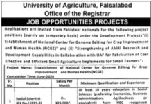 University of Agriculture Faisalabad Jobs 2021 For Management Staff