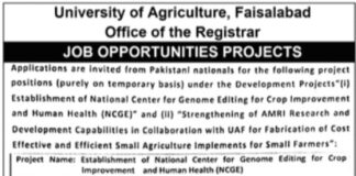 University of Agriculture Faisalabad Jobs 2021 For Management Staff