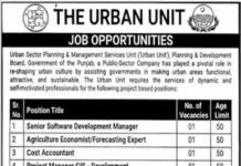Urban Sector Planning & Management Services Unit Jobs 2021 In Lahore