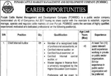 Administration jobs at Punjab Cattle Market 2021