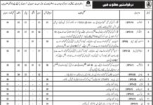 Assistant Commissioner Revenue Jobs 2021