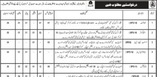 Assistant Commissioner Revenue Jobs 2021