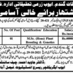 Agriculture Research Institute Jobs 2021