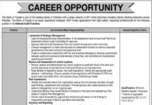 Bank of Punjab BOP Jobs 2021