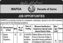 Vigilence & Security Jobs in WAPDA