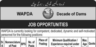 Vigilence & Security Jobs in WAPDA