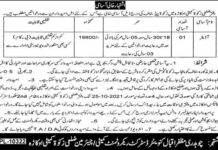 District Zakat Committee Auditor jobs 2021