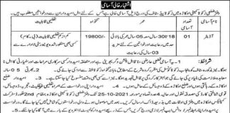 District Zakat Committee Auditor jobs 2021