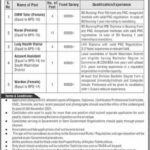 Directorate of General Health Service Jobs 2021