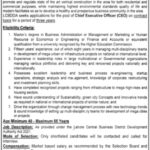 Chief Executive Officer Jobs 2021