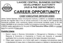 Chief Executive Officer Jobs 2021