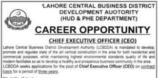 Chief Executive Officer Jobs 2021