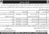 Provincial Transport Authority of Baluchistan Jobs 2021