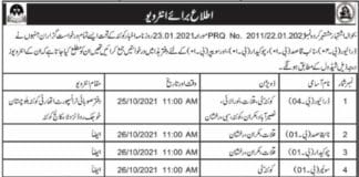 Provincial Transport Authority of Baluchistan Jobs 2021