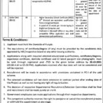 Population Welfare Department Lahore Jobs 2021