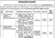 Karachi Public Sector Organization Jobs 2021