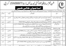 Institute of Trauma SMBBIT Karachi Jobs 2021