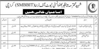 Institute of Trauma SMBBIT Karachi Jobs 2021