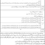 Professor of Law Jobs 2021