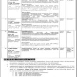 Abdul Wali Khan University jobs 2021